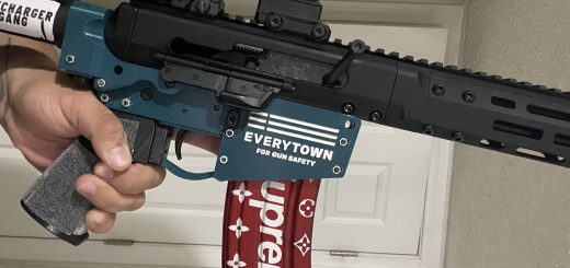 Dianexis Everytown AR-15